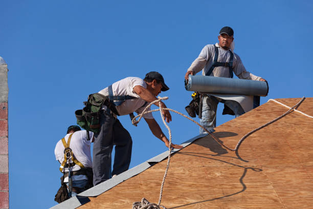 Best Roof Gutter Cleaning  in Anthony, NM